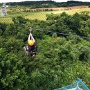 다희연 티 뮤지엄 | 제주도 2박3일 코스, 독채민박, 숙박, 숙소, 호텔, 펜션, 게스트하우스 추천, 가볼만한 곳, 월정브리즈...