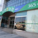 옥룡면사무소 앞 이미지