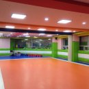 용인대선일태권도장 이미지