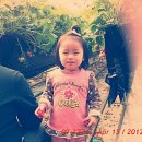 유민농장 이미지