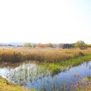 공원휴게점 이미지