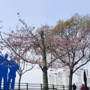 호수공원소나무숲길 이미지