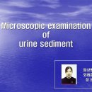 제가 병원 들어가서 처음 만든 PPT입니다 URINE MICROSCOPY 이미지