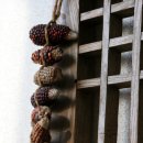 언니네집 이미지