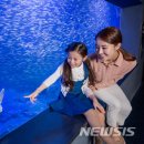 거북빌딩 이미지