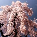 화곡노인복지센터 이미지