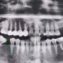 꿈을심는연합치과의원 이미지