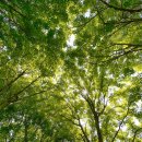 남부공원(제26호완충녹지) | 푸른날 걸어보는 양산 남부공원과 양주누리길