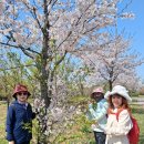 운양생태공원 이미지