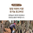 제이에스기획 이미지