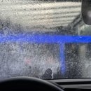 신덕계로 이미지