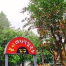 일산칼국수 이미지