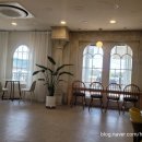 New 궁전 이미지