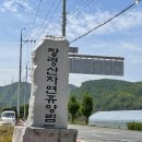 장령산자연휴양림 티스토리