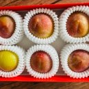 은혜농원 이미지