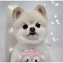 미소짓는케어 이미지