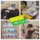 세종 다정동 스파 추천 컬러드스파 세종다정점 프루스트두피스파 후기