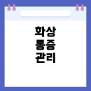 박동물종합병원 | 2도 화상 후 통증이 너무 심해 잠 못 자는 경우, 대처법과 빠른 회복을 위한 팁