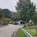 갑장사등산로 이미지