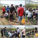 인천사리울중학교 이미지