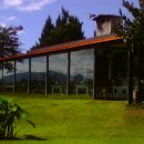 미스타페오 이미지