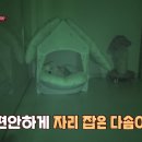다솜이농장 네이버블로그