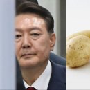 서울구치소식단표 이미지