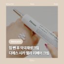 디에스뷰티(DS beauty) | [뷰티] 디에스 시카 멜라 리페어 크림 : 약국재생크림 점뺀후재생크림 추천