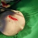 래플즈 동물병원 이미지