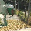 청림농장 이미지