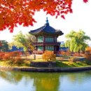 관등 Daum카페