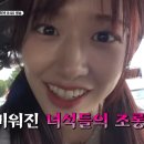 미니미니 뿅뿅 이미지