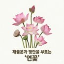 풍수아트 | [풍수 인테리어] 집안에 재물운과 평안을 부르는 '연꽃🪷 그림'의 모든 것 + 더아트컴퍼니 내돈내산 후기