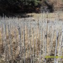 매곡농장 이미지