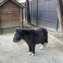 가가동물원 이미지