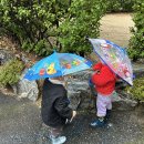 햇님반-비오는날🌧️ 이미지