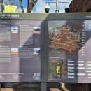 대구박물관 | 국립대구박물관 후기｜대구 아이와 실내 가볼만한곳 무료,크리스마스,연말 전시,미디어아트