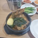 가란트 | 이래저래.. 러시아보험 가입하고 어쩌고 저쩌고 일상