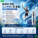 노스엣센스 후기: 여름 땀 관리에 효과 있을까? 뽀송한 여름을 위한 필수템!
