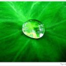 제이위드학원 이미지