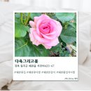 다육그리고꽃
