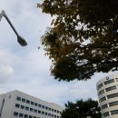 동의대학교 이미지