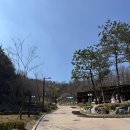 제일캐노피맞은편(18072) | 앵봉산 가족캠핑장 캐노피(텐트)후기 내돈내산