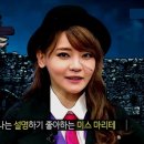 카페엘리 이미지