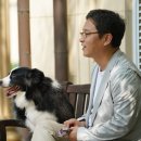 위드펫종합동물병원 이미지