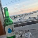 갈매기회센타 이미지