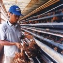 흥일농장 세계일보