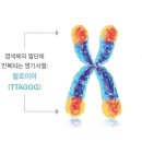 풀다 이미지