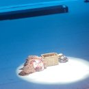 천하제일탈공작소 가장무도 이미지