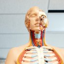 라이프식품 이미지